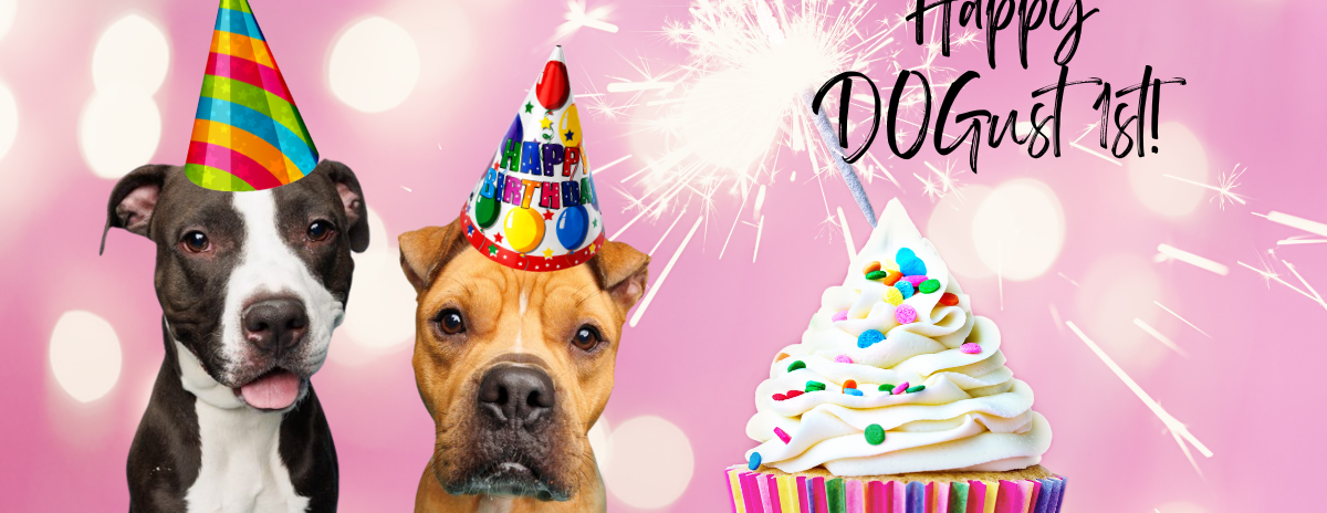 DOGust 1st 2021