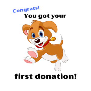 First Donation to your fundraising page